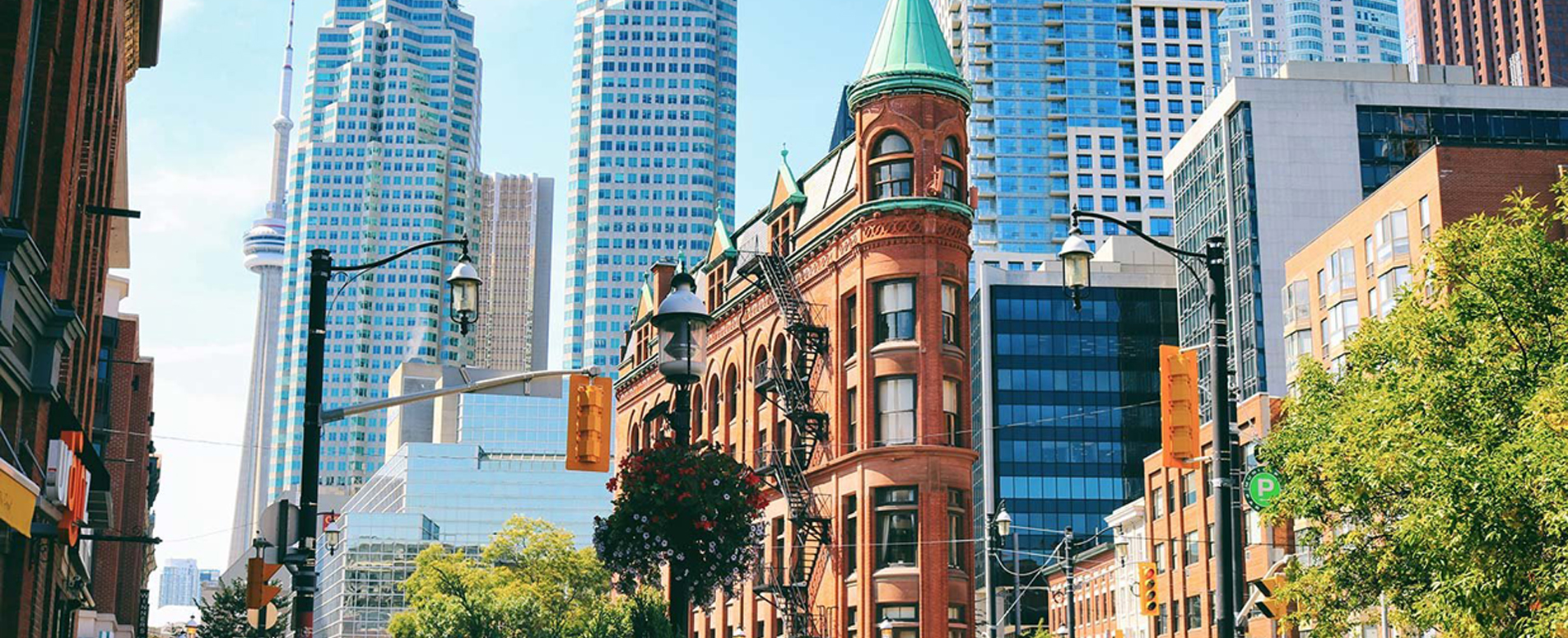 Immigration Consulting Bootstrap Responsive Website Template